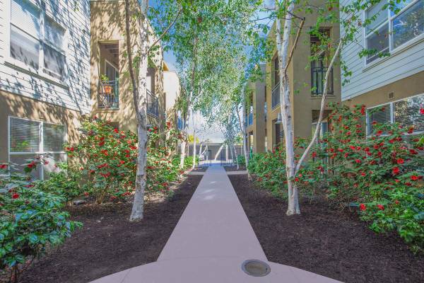 $2,210 / 1br - 610ft2 - 1/hab 1/ba, Acceso Fácil a Compras, Ático (albany / el cerrito)63928543075715122