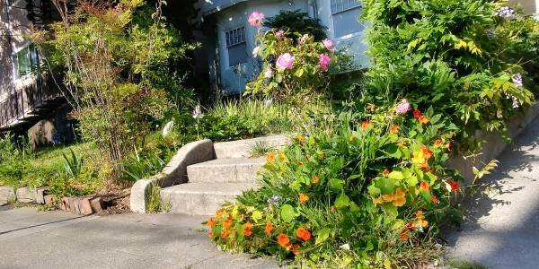 ROOM IN ROOMING HOUSE 1