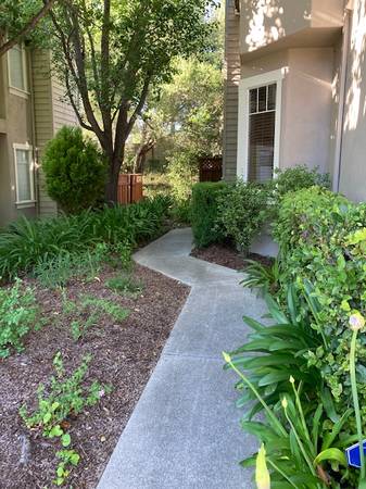 $4,200 / 4br - 1865ft2 - ¡Ubicación, ubicación! Townhome en Danville cerca de Blackhawk (danville / san ramon)63686121351427120