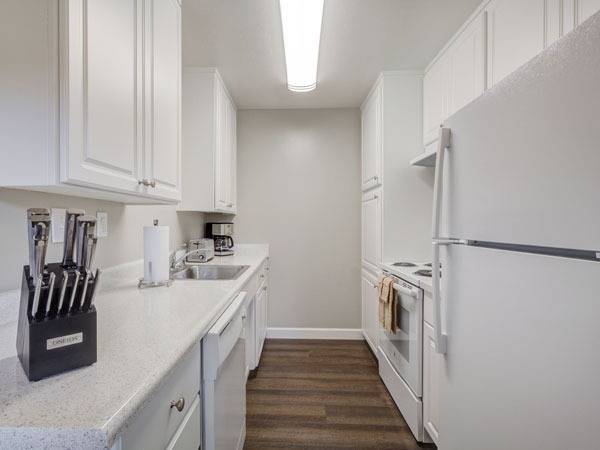 $970 / 1br - Amplio apartamento de un dormitorio en sótano (san rafael)63813588094721124
