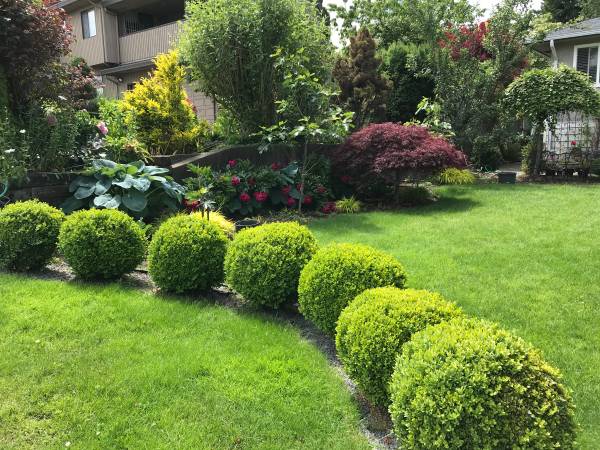 Room for Rent; 5 Min walk to Metrotown, 15 min walk to BCIT 1