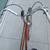1969 "Phillips", 3-speed English Roadster Bicycle, 21" frame. 3 thumbnail