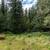 18.80 stunning acres near Wallace, Idaho! 17 thumbnail
