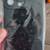 Firm Price! Brand New in a Package Case for iPhone 14 PRO MAX Only 5 thumbnail