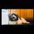 Rehome Dog - Havanese 1 thumbnail