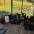 Chickens 2 thumbnail