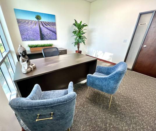$925 / 160ft2 - OFICINAS ejecutivas privadas completamente amuebladas en alquiler en Carlsbad! (Carlsbad)63819233111169121