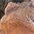 Hand-Sculpted Clay Face – Signed Ceramic Wall Art or Garden Decor 3 thumbnail