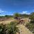Knoll-Top Orchard Estate Setting In The Corralitos Foothills! 16 thumbnail
