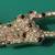 Very Rare Leopard Brooch Pin RMN ROMAN Brand Bright Bling Crystals 2.25" long 3 thumbnail