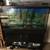 65 Gallon Aquarium with lots of extras 2 thumbnail