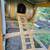 Chicken tractor duplex made with upcycled wine barrel 6 thumbnail