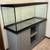 Bearded Dragon Tank and Accessories 4 thumbnail