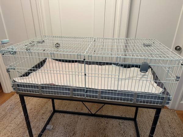 Guinea Pig cage 1