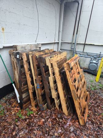 FREE PALLETS 1