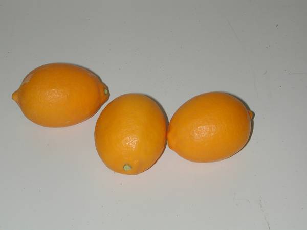 Meyer Lemons Fresh 1