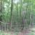 13 Acres Wooded Residential  Lots 9 thumbnail