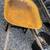 WHEELBARROW 2 thumbnail