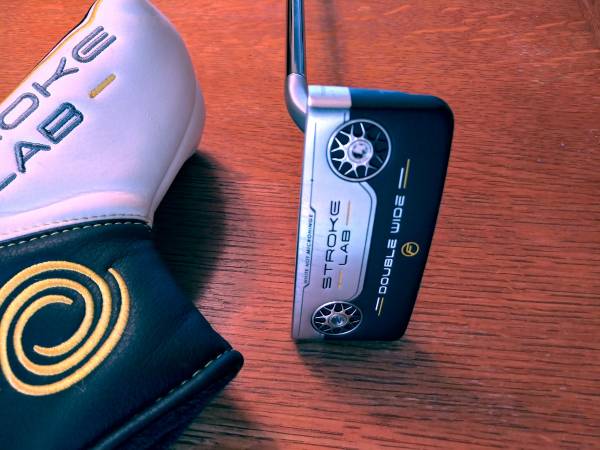 Mint Odyssey stroke lab 1