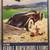43rd Annual Pebble Beach Concours d'Elegance Program - August 1993 1 thumbnail
