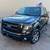 2013 Ford F-150 FX4 9 thumbnail