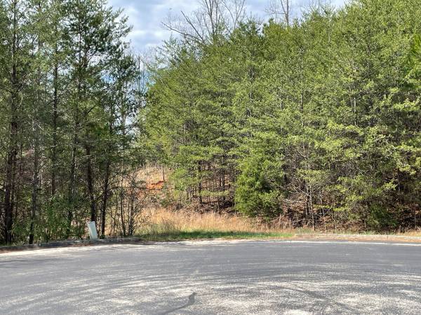 $175,000 GATED COMMUNITY- 2 ACRES WITH LAKE VIEWS (Madisonville)63815667721347121
