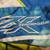ZeroXposur Boy's SWIM TRUNKS - LIKE NEW!! Size 8 5 thumbnail