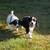 English Springer Spaniel 1 thumbnail