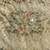 Antique 6' x 8' Hooked Rug Roses Vintage 4 thumbnail