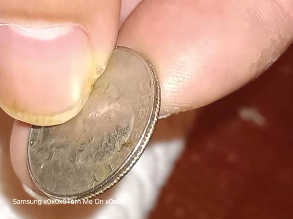 Rare 1776•1976 Bicentennial Quater with split in the middle of iy 1