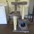 42" high Cat Tree Tower & scratching posts 1 thumbnail