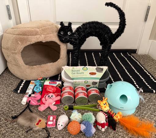 Cat Starter Kit Including Food, Bed, Toys! 1