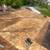 JAY’S HANDYMAN SRVC 315-944-8988 11 thumbnail