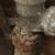 Reliable Profession Experience Plumber with20yrs CALL PLUMBING SERVICE 23 thumbnail