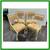 Mid 20th Century Palm Beach Style Table + Four Chairs, Set 4 thumbnail
