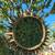 30" Sunburst Gold Vintage Mirror 7 thumbnail