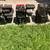 Aug 19 Briggs and Stratton 2hp gas engines mini bike Go Cart TWO  $30 2 thumbnail