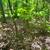 general tree services emergency tree services 14 thumbnail