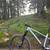 Specialized Fuse Comp 29 Large frame w/ Fox Rhythm 36 160mm 4 thumbnail