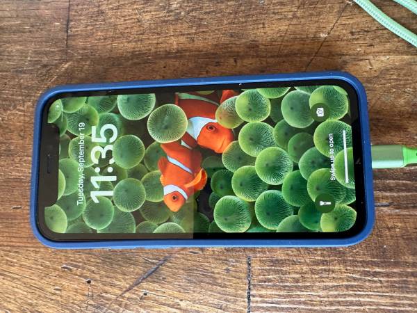 Unlocked Iphone 12 mini 1