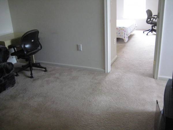 $1,180 / 1br - 500ft2 - Estudio acogedor (área de Princeton)63676291458049124
