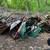 Wheel Barrow 1 thumbnail