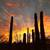 HOUSE SHARE, Foothills, AC, fireplace, WiFi, Dish, Views, Furnished Rm 20 thumbnail