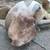 African Elephant Head 5 thumbnail