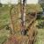 Vintage French Wrought Iron Garden Armchair  Rustic Patina. 9 thumbnail