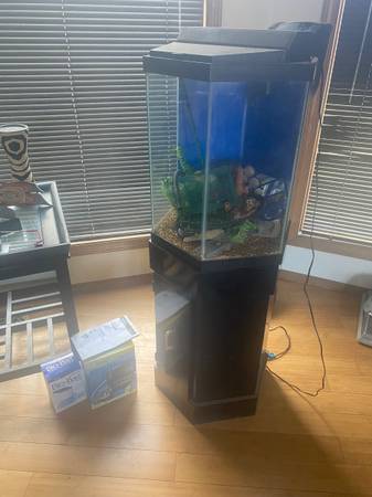 Aquarium 1