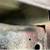 2016 RAM 3500 Tradesman Regular Cab 4WD 16 thumbnail