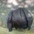 2- Leather Jackets (XL) 2 thumbnail