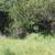 CALIFORNIA LAND FOR SALE,  CLEARLAKE 4 thumbnail