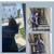 OFFICE CLEANING — Worcester / Bank Cleaning nearby (INSURED) 1 thumbnail
